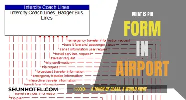 What is a PIR Form? Airport Essential Explained