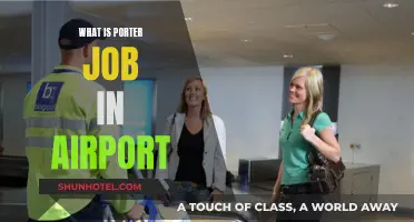 The Porter's Role: Assisting Airport Passengers