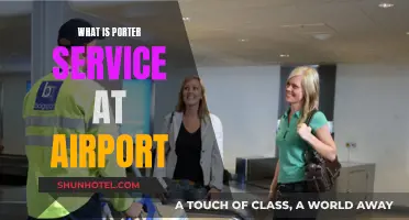 Porter Service: Airport Luxury Explained
