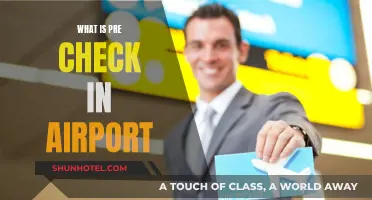 Pre-Check: Airport Security's VIP Treatment