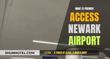 Premier Access: A Faster Track at Newark Airport
