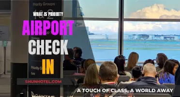 Priority Airport Check-In: A Faster Way to Board