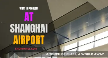 Shanghai Airport: What's the Problem?