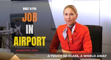 Exploring the PSA Job: Airport Essentials