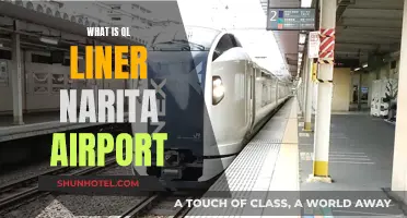 A Smooth Ride: Ql Liner Narita Airport Service
