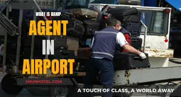 The Crucial Role of Ramp Agents in Aviation