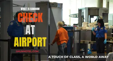 Airport Random Checks: What's the Deal?