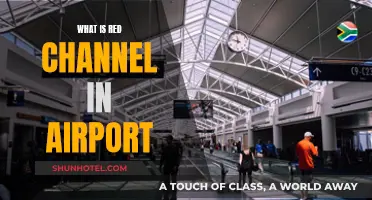 Red Channel: The Airport's Security Fast Track