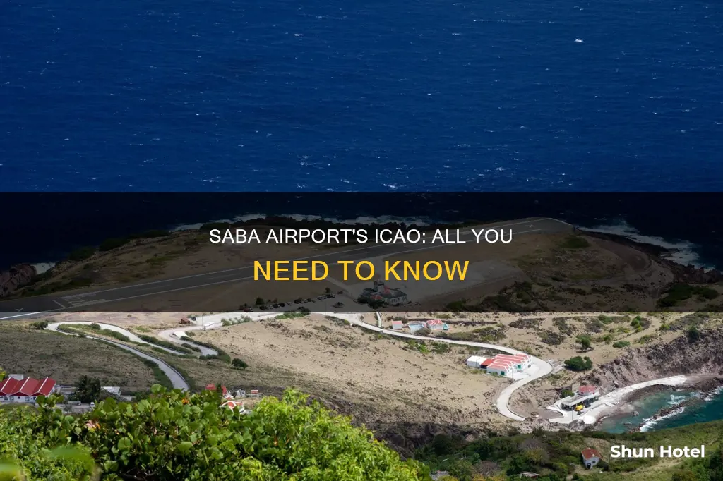 what is saba