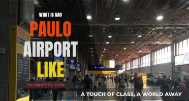 Sao Paulo Airport: A Traveler's First Impression