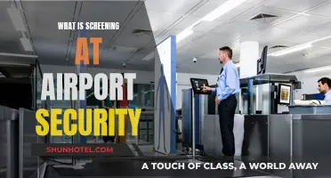Airport Security Screening: What to Expect and Why