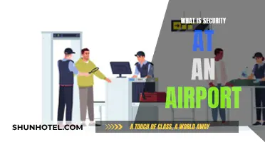 Airport Security: How It Works and Why