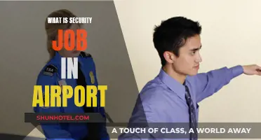 Airport Security Jobs: Protecting the Skies