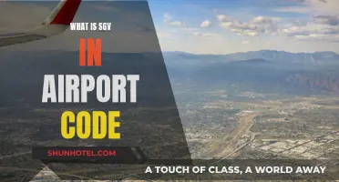 Airport Code SGV: What's Behind These Three Letters?