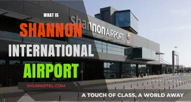 Exploring Shannon International Airport: Ireland's Gateway to Global Travel