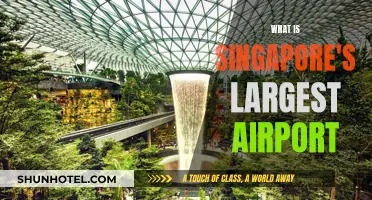 Singapore's Changi: An Airport Behemoth