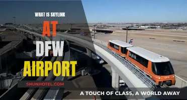 Skylink: Efficient Travel at DFW Airport