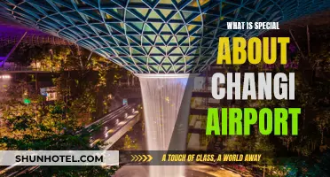 Experience Changi Airport: Unique Features and Attractions