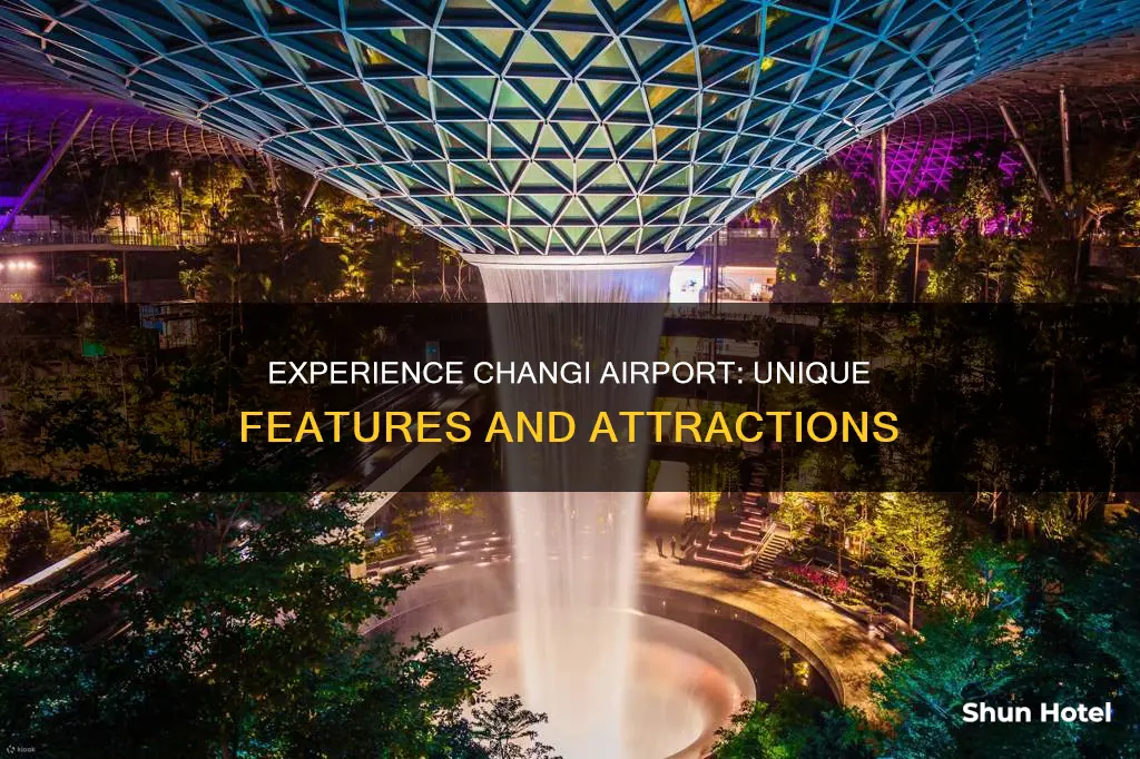 what is special about changi airport