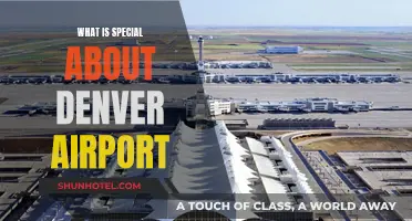 Denver Airport: A Unique Travel Hub