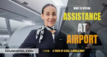 Airport Special Assistance: What, Why, and How?