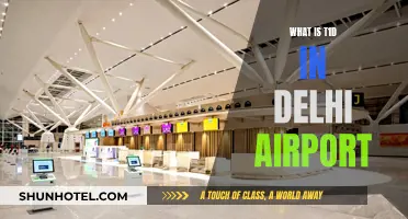 T1D: Delhi Airport's Terminal 1D Explained
