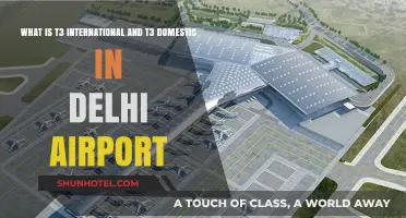 Understanding T3 International & Domestic Terminals at Delhi Airport