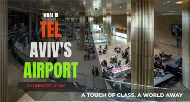 Tel Aviv's Airport: A Guide to Ben Gurion