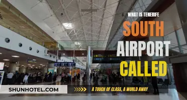 Exploring Tenerife: South Airport's Unique Name