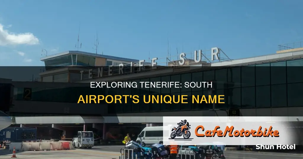 what is tenerife south airport called