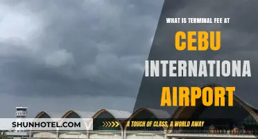 Understanding Cebu International Airport's Terminal Fee: A Comprehensive Guide