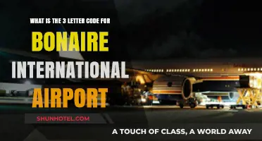 Bonaire International Airport's 3-Letter Code: A Quick Guide