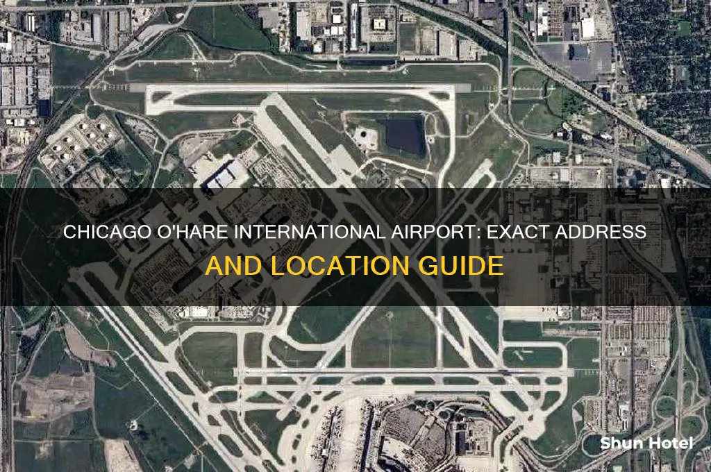 what is the address of chicago o