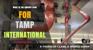 Tampa International Airport Code: Unlocking the Mystery of TPA
