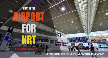 Narita International Airport: Gateway to Tokyo and Beyond