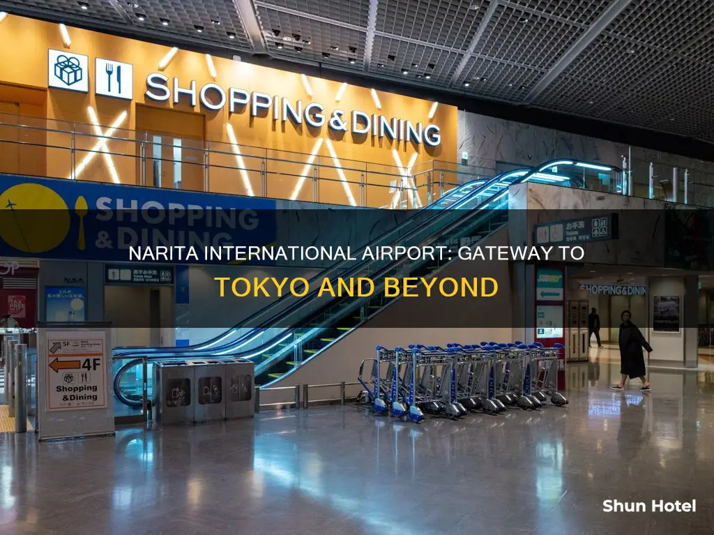 what is the airport for nrt