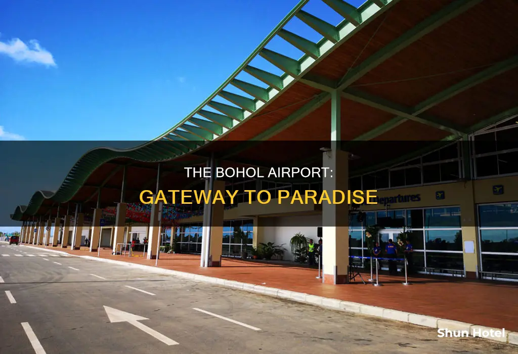 what is the airport in bohol
