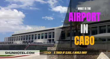 Cabo San Lucas Airport: All You Need to Know