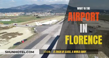 Florence Airport: A Gateway to Tuscany