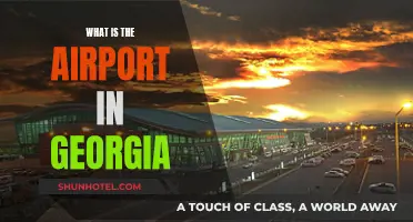 Georgia's Airport Gateway: Where to Fly?