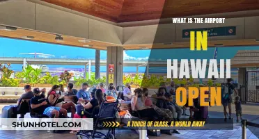 Is Hawaii's Airport Open? Current Status and Travel Updates