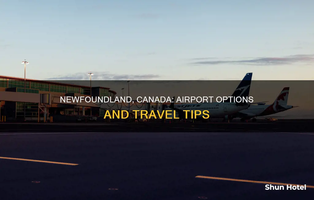 what is the airport in newfoundland canada