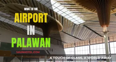 Palawan's Airport Gateway: All You Need to Know