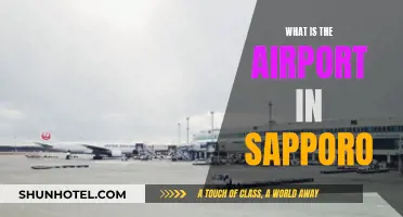 Sapporo's Airport: A Guide to New Chitose