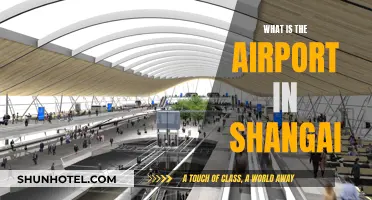 Shanghai's Airport: A Guide to Navigating the City's Aviation Hub