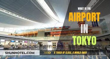 Tokyo's Airport: A Guide to Narita and Haneda