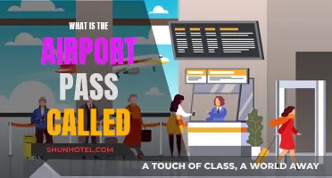 The Airport Pass: What's It Called?