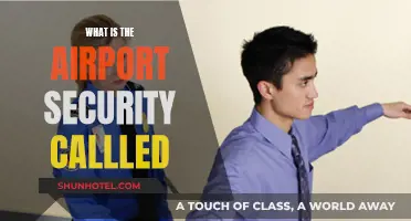 Airport Security: Who's Watching?