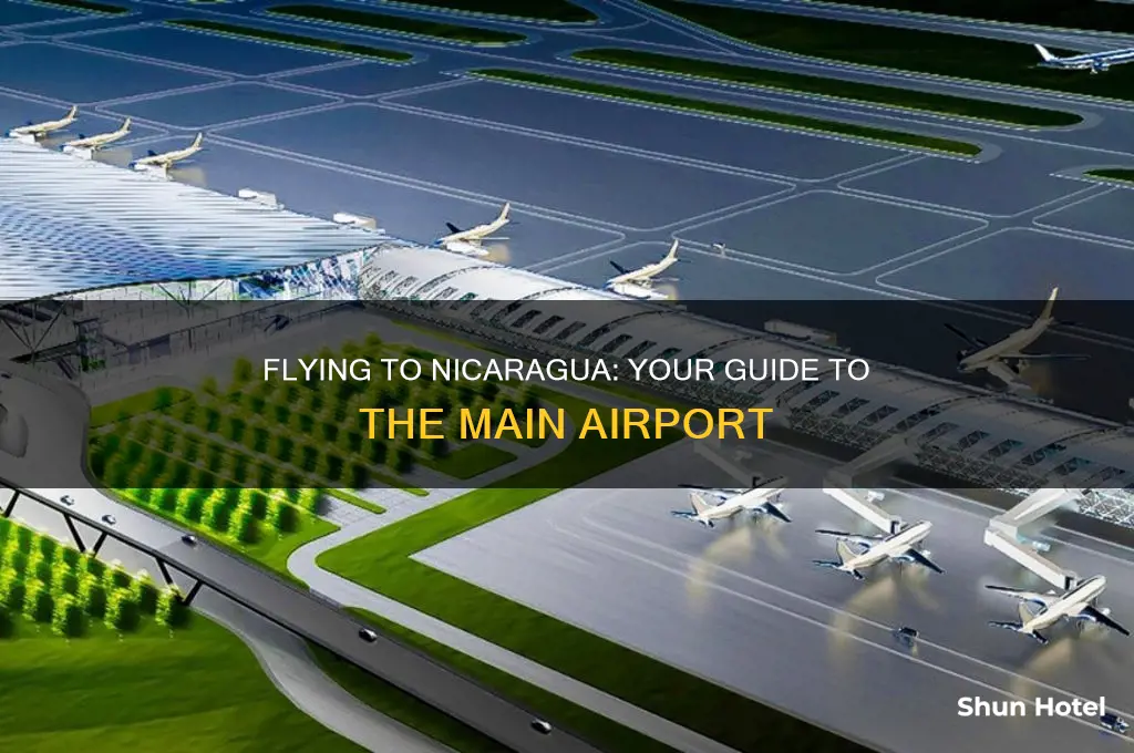 what is the airport you fly into nic