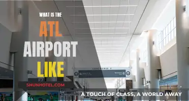 Hartsfield-Jackson: A Busy Airport Experience
